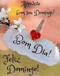 Bom Dia Flower Clothespin GIF