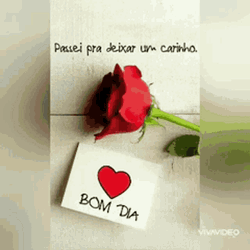 Bom Dia Red Rose Love Note GIF