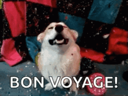 Bon Voyage Cute Corgi Dog GIF