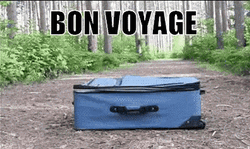 Bon Voyage Dog Inside Suitcase GIF