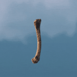 Bone Flying Spin Loop A Space Odyssey Movie GIF
