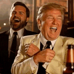 Bonechat Trump Vance Fellas Bonechat Laughing GIF