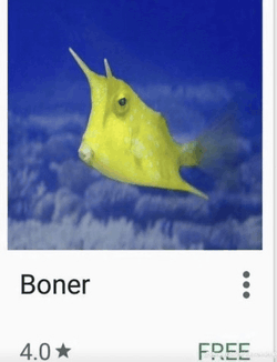 Boner Free Meme GIF