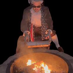 Bonfire Blazing Fire GIF