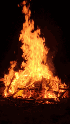 Bonfire Burn It GIF