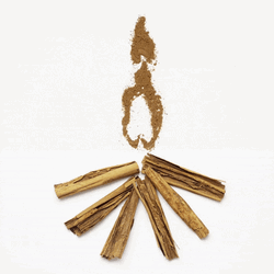 Bonfire Fogata Visualization GIF