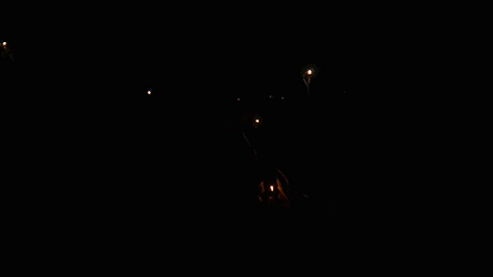 Bonfire With Friends GIF