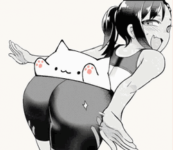 Bongo Cat GIF