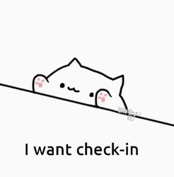 Bongo Cat I Want Check-In GIF
