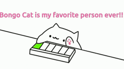 Bongo Cat Is My Favorite Person Ever GIF
