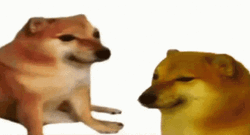 Bonk Dog GIF