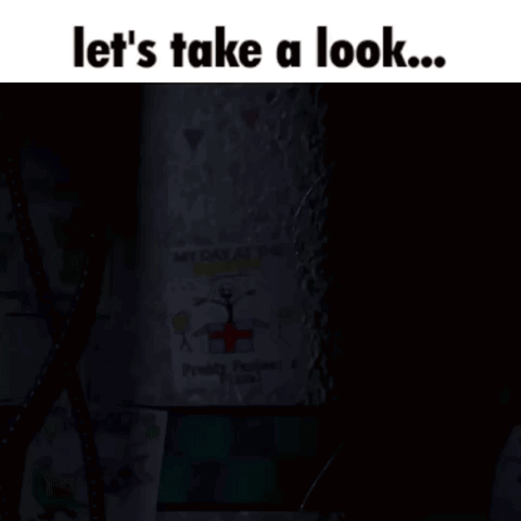 Bonnie From Five Nights At Freddy's With Let's Take A Look GIF