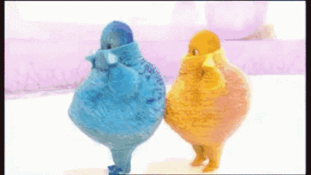 Boobah Funny GIF