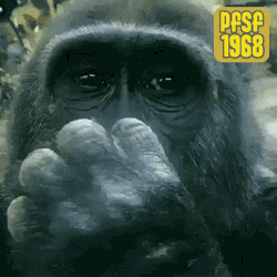 Booger Monkey GIF
