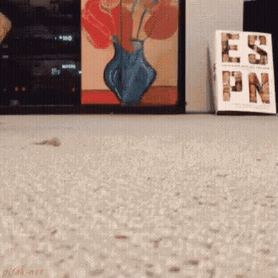 Book Called Esn On Carpet Next To Vase GIF
