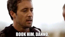 Book It Danno Scott Williams Hawaii Five-o Remake GIF | GIFDB.com