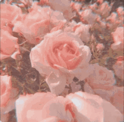 Book On Bed Next To Pillow GIF