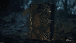Book Opening To Princess Story Page GIF