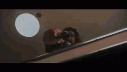 Boondock Saints Funny Man Rocco GIF