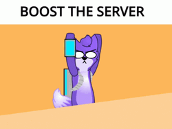 Boost The Server Purple Cat GIF