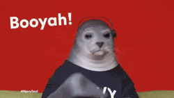 Booyah Dolphin Memes GIF