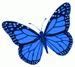 Borboletas Blue Butterfly Flapping Wings Stickers