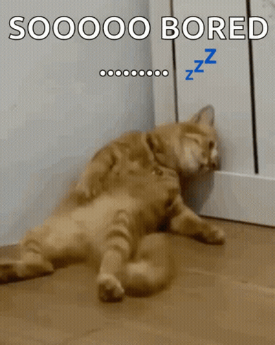 Bored Cat Lying On Floor GIF