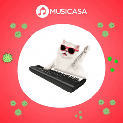 Bored Cat Piano Plays With Glasses On GIF