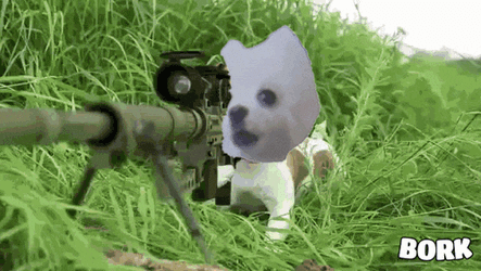 Bork Bonk GIF
