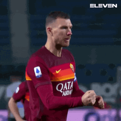Bosnia And Herzegovina Edin Dzeko GIF