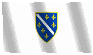 Bosnia And Herzegovina Flag With Shield Sticker