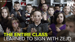 Bosnia And Herzegovina Kids GIF