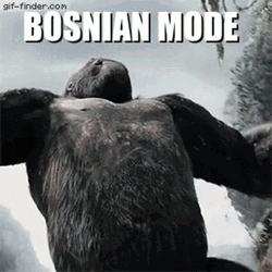 Bosnia And Herzegovina King Kong GIF