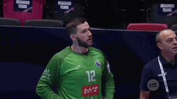 Bosnia And Herzegovina Player 12 GIF