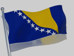 Bosnia And Herzegovina Shiny Flag GIF