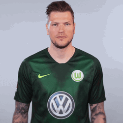 Bosnia And Herzegovina Wolfsburg Player GIF