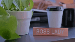 Boss Lady Neat Desk  GIF