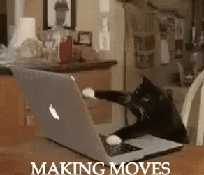 Boss Makes A Dollar I Make A Dime Cat Making Moves GIF