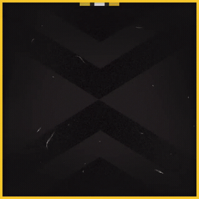 Boston Bruins Logo GIF