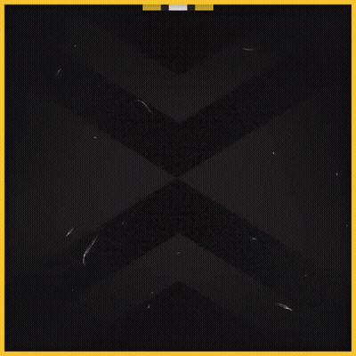 Boston Bruins Logo GIF