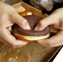 Boston Cream Donut GIF