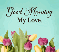 Botanical Good Morning My Love GIF
