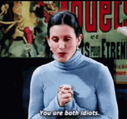 Both Idiots Courteney Cox GIF