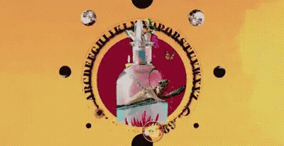 Bottle Of Cabernet Sauvignon Beside Glass GIF