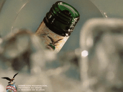 Bottle Of France Poured Into Glass With Bird GIF