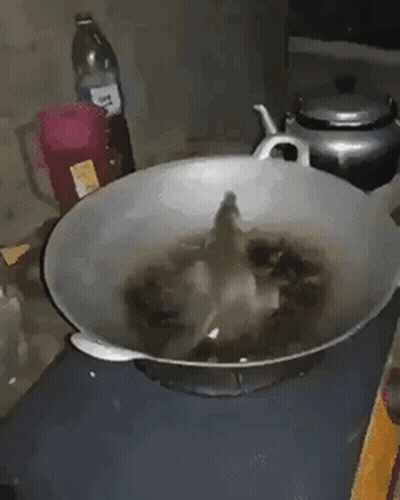 Bottle Of Long Drink Beside Pan Of Food GIF