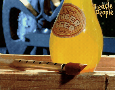 Bottle Of Sander's Ginger Beer GIF