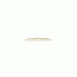 Bottle Of Tequila GIF