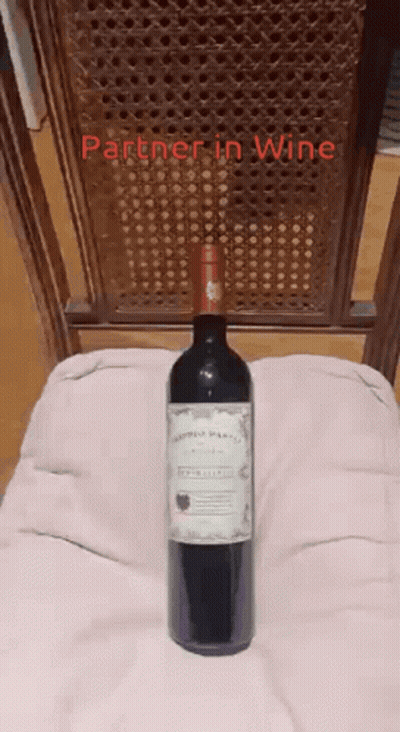 Bottle Of Wine Next To Partner In Wine Pillow GIF