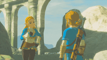 Botw Zelda Aviod Link GIF